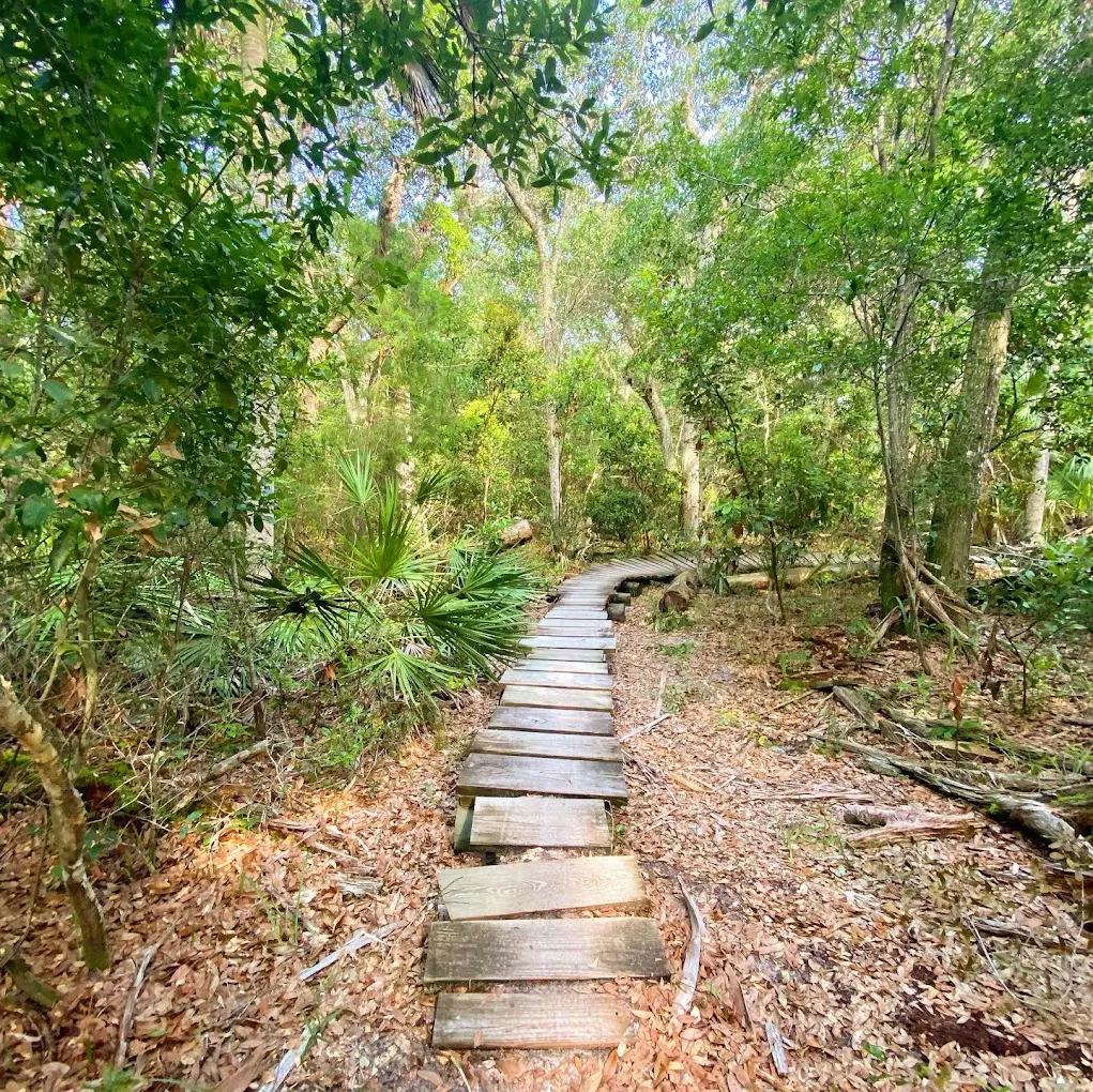 Mala Compra Trails