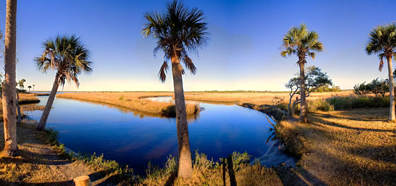Princess Place Preserve
