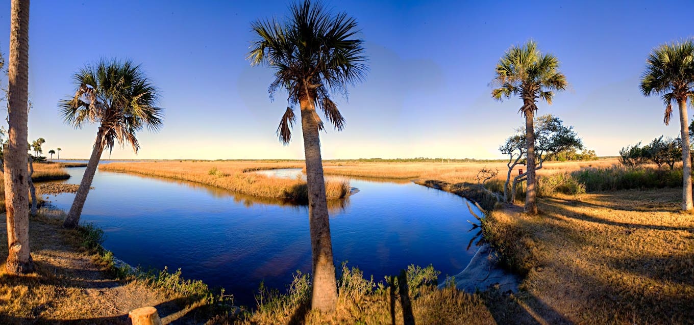 Princess Place Preserve