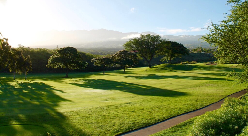 Golf course in Palm Coast Florida