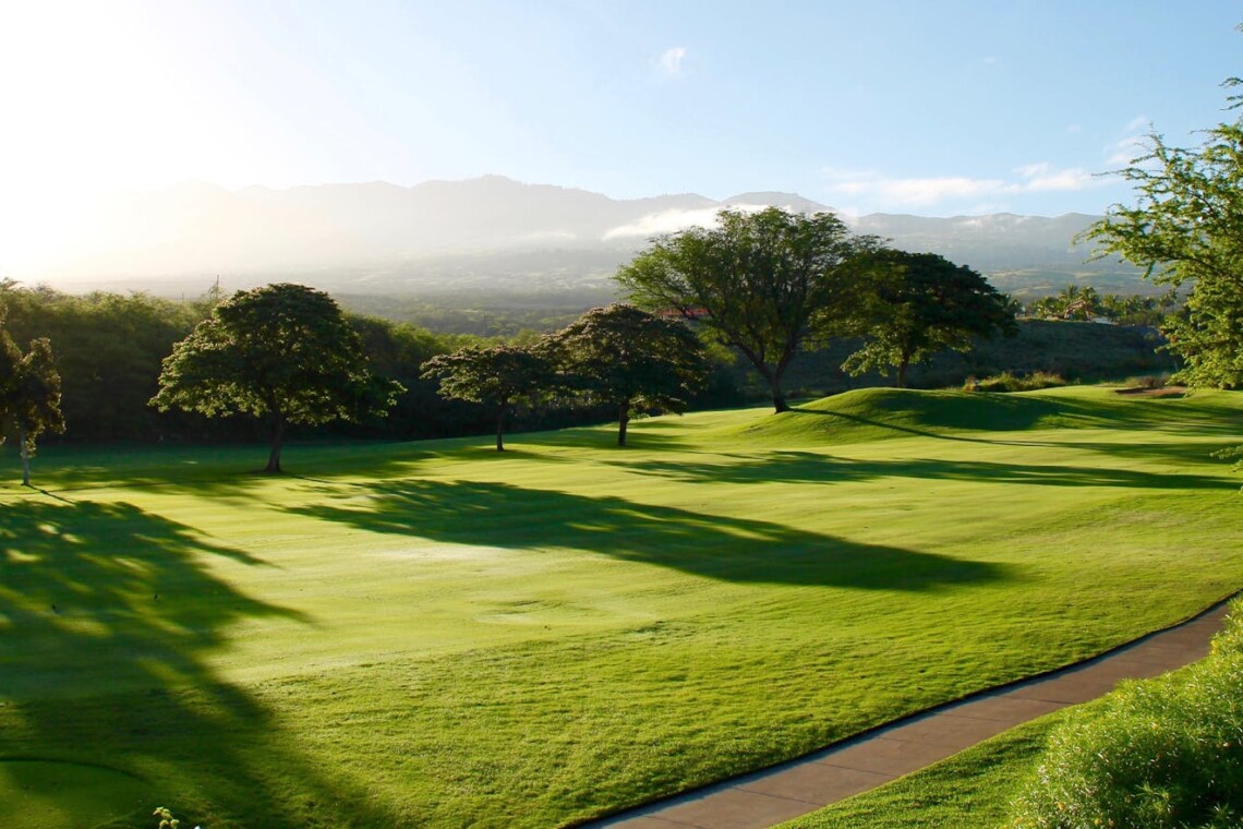 Golf course in Palm Coast Florida