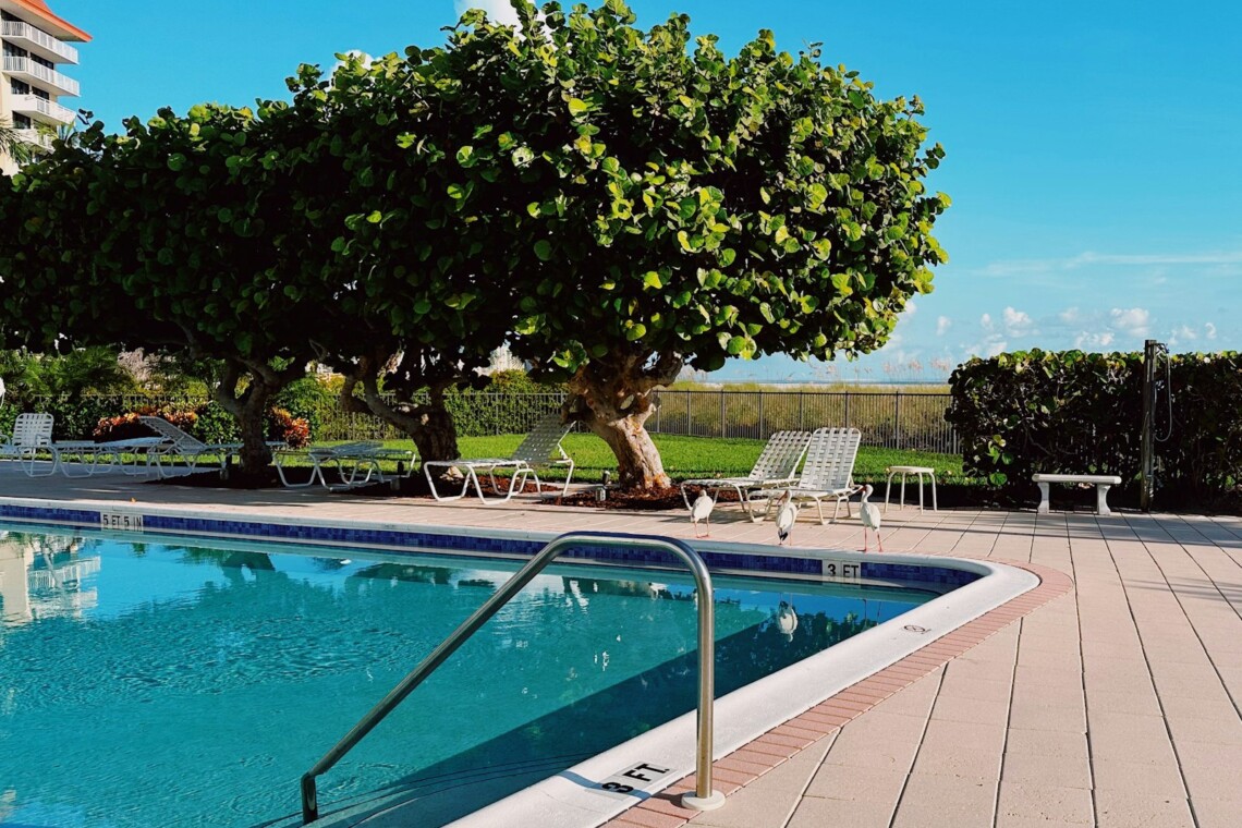 florida coastal community pool ibis