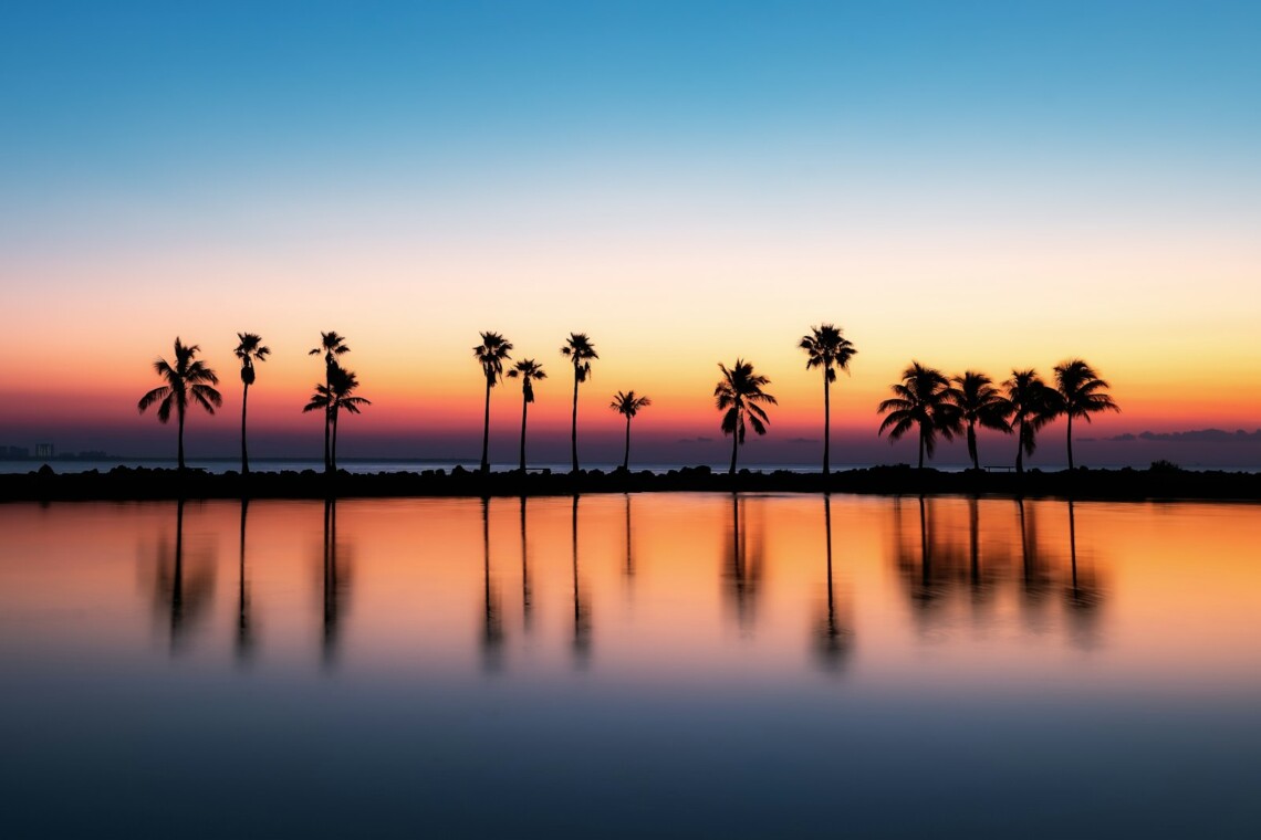 palm coast florida sunset palms v2