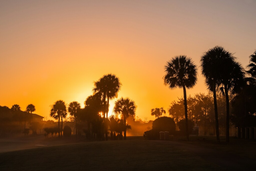 tpc sawgrass florida golf sunrise